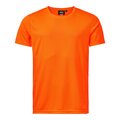 SouthWest Ray miesten tekninen t-paita Oranssi
