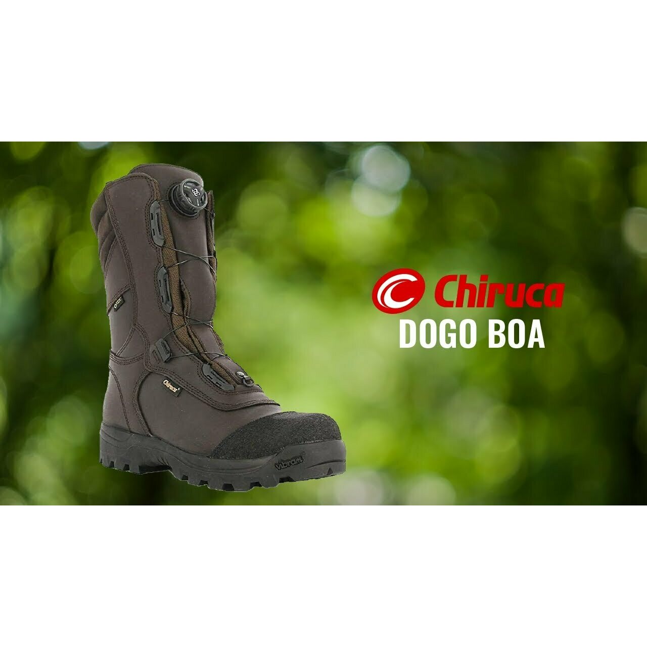 Chiruca Dogo Boa Gore-Tex Hunting shoes Erätukku English